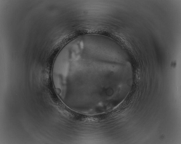 X0000091080691200708271236