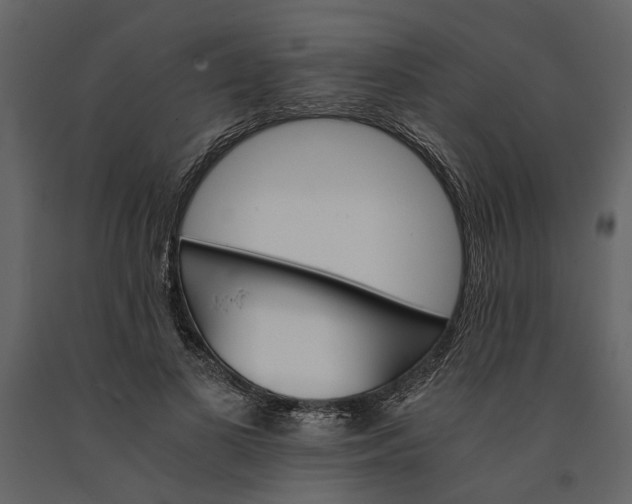 X0000091080693200708271236