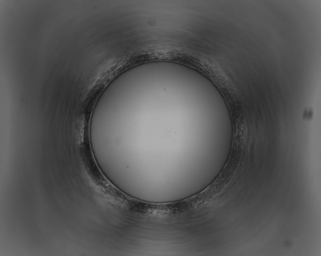 X0000091080694200708271236