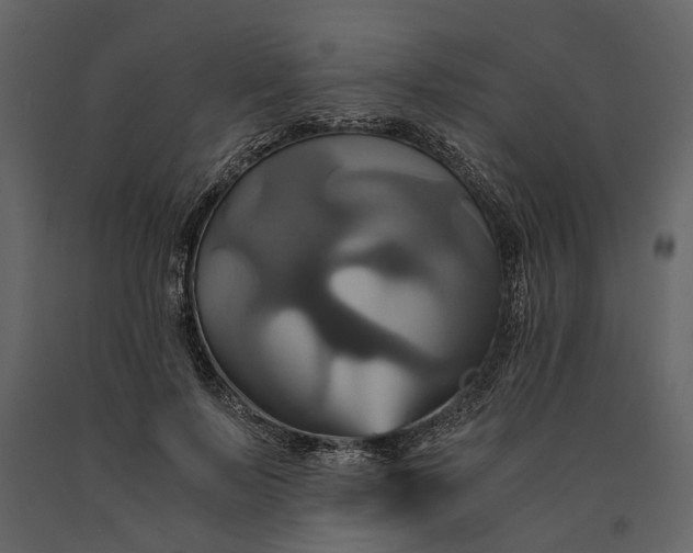 X0000091080695200708271236