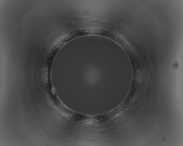 X0000091080696200708271236