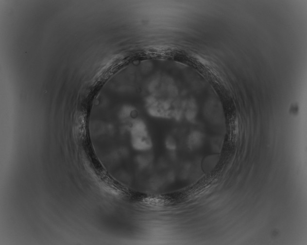 X0000091080699200708271236