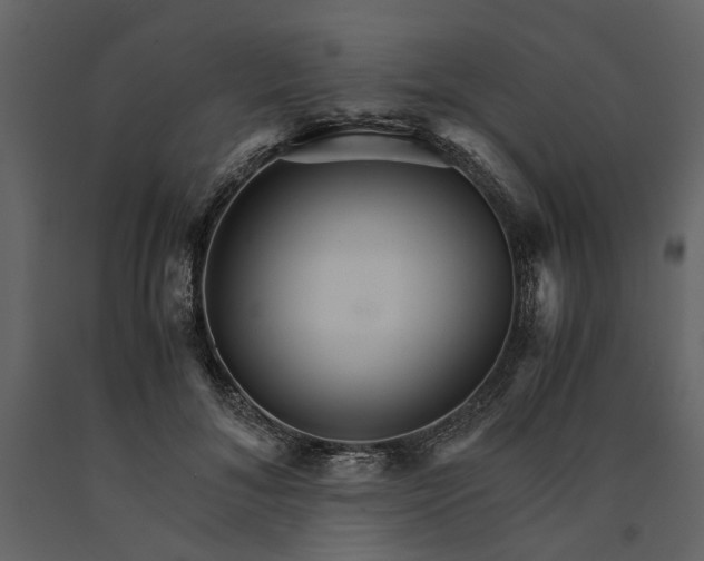 X0000091080700200708271236