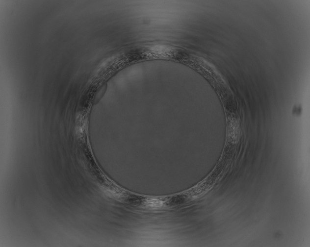 X0000091080701200708271236