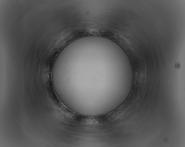 X0000091080702200708271236