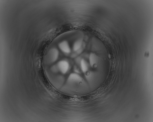 X0000091080703200708271236