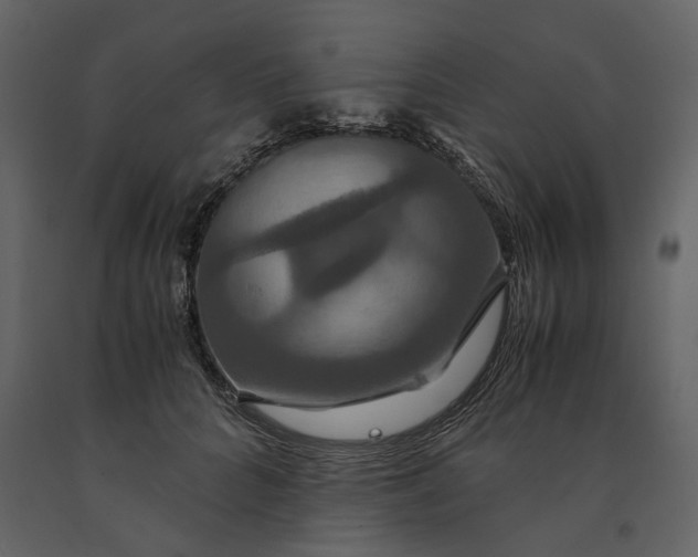 X0000091080704200708271236