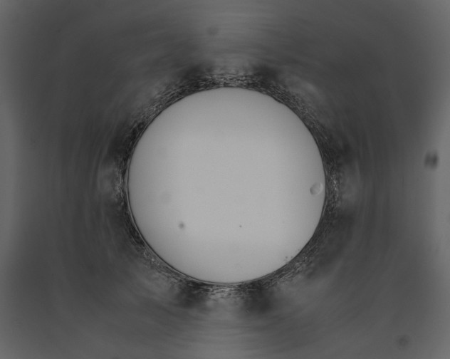 X0000091080705200708271236