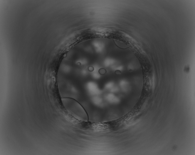 X0000091080707200708271236