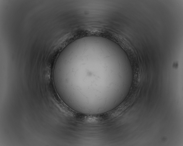 X0000091080710200708271236