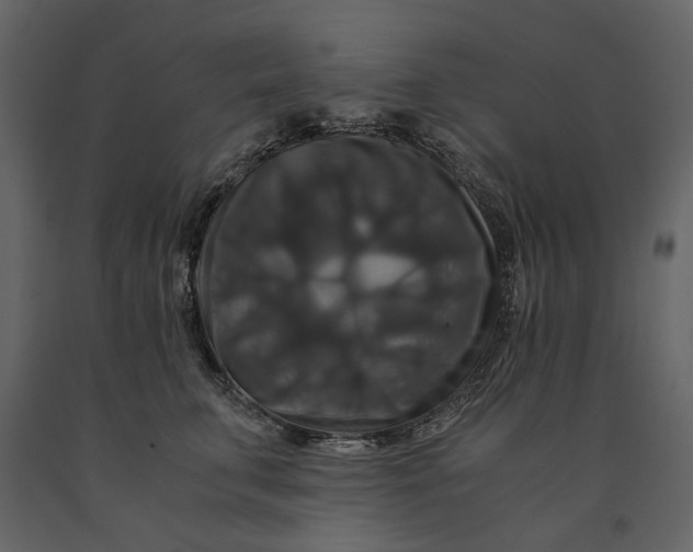 X0000091080711200708271236