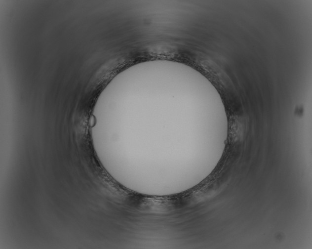 X0000091080713200708271236