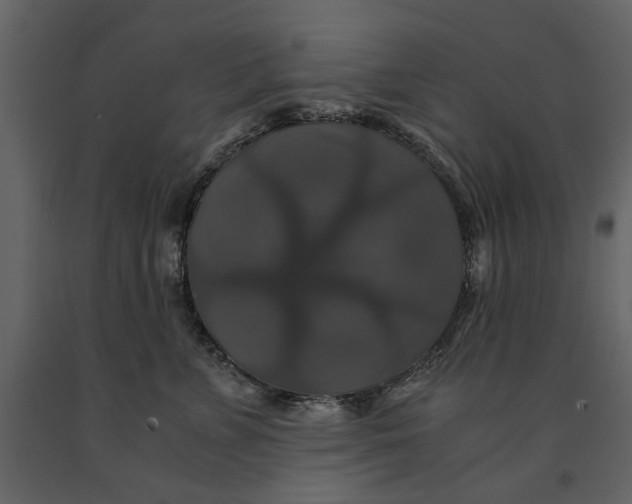 X0000091080715200708271236