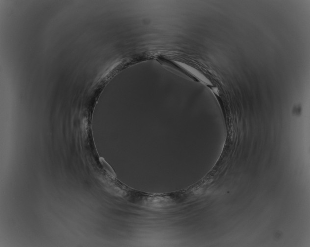 X0000091080716200708271236