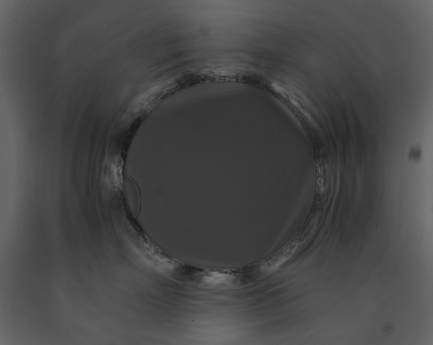 X0000091080718200708271236