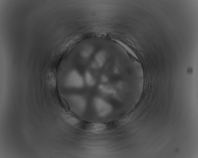 X0000091080719200708271236