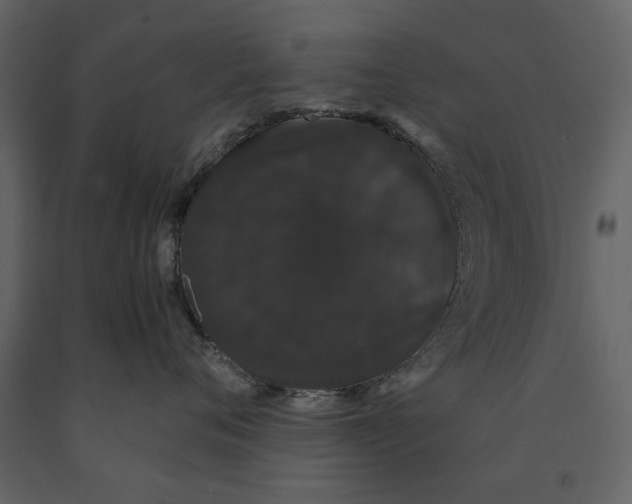 X0000091080720200708271236