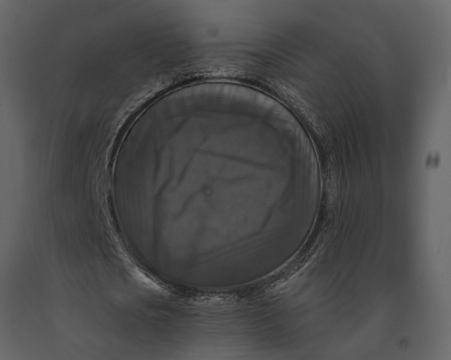 X0000091080721200708271235