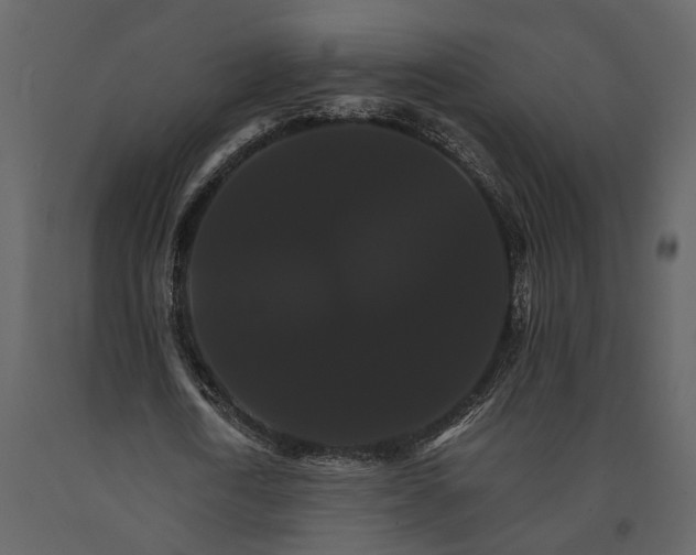 X0000091080722200708271235