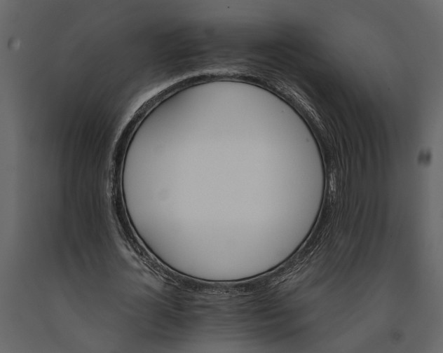 X0000091080724200708271235