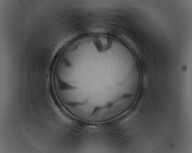 X0000091080725200708271235