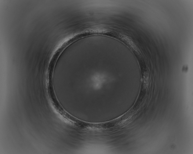 X0000091080726200708271235