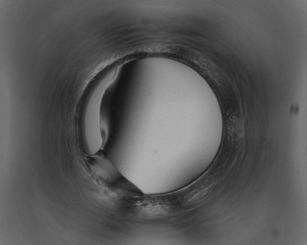 X0000091080727200708271235