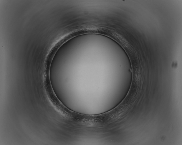 X0000091080728200708271236