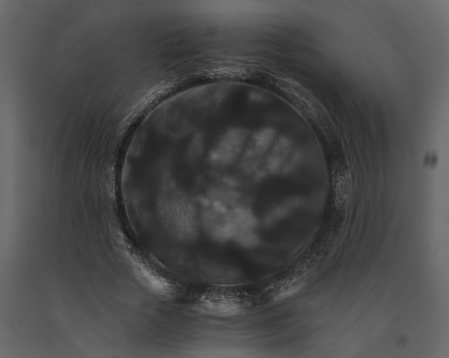 X0000091080729200708271236