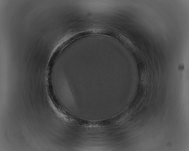 X0000091080730200708271236