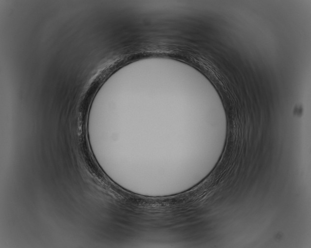 X0000091080731200708271236