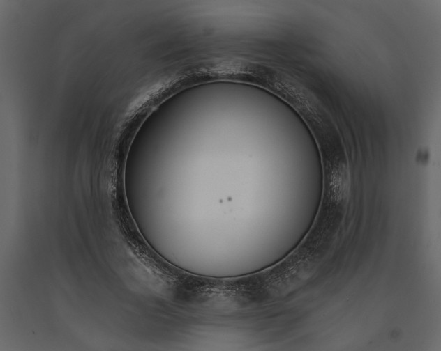 X0000091080732200708271236