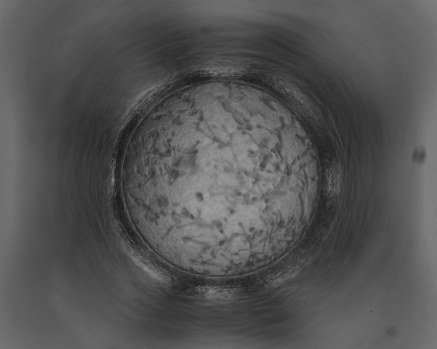 X0000091080733200708271236