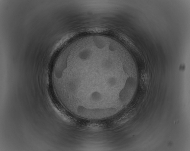 X0000091080734200708271236