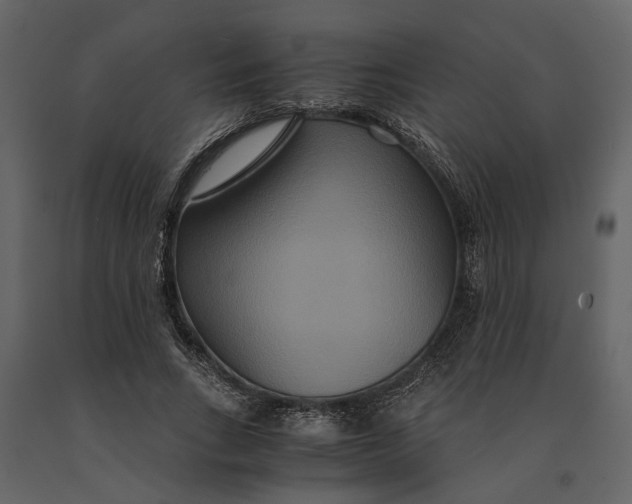 X0000091080735200708271236