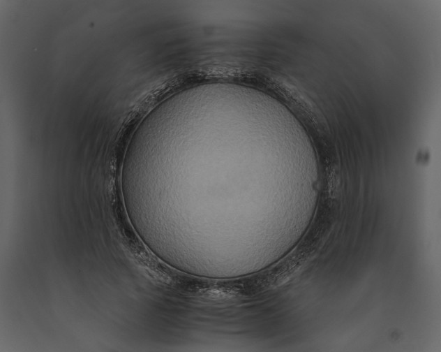 X0000091080737200708271236