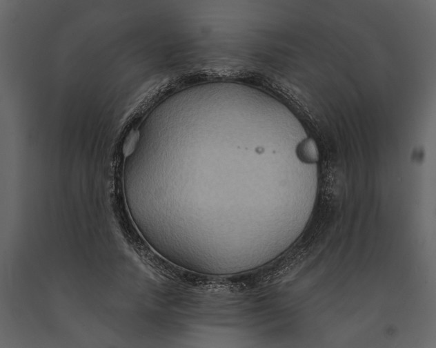 X0000091080738200708271236