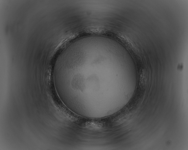 X0000091080739200708271236