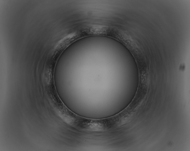 X0000091080741200708271236