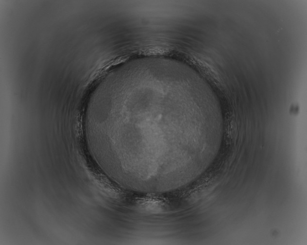 X0000091080743200708271236