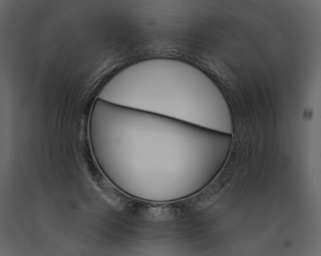 X0000091080744200708271236