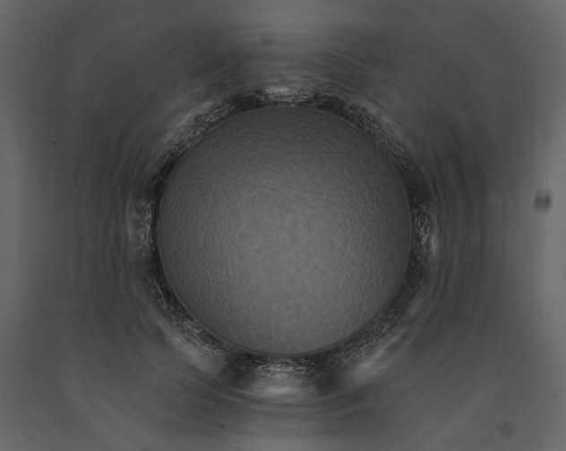 X0000091080745200708271236