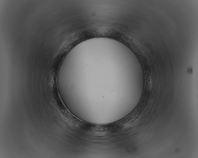 X0000091080746200708271236