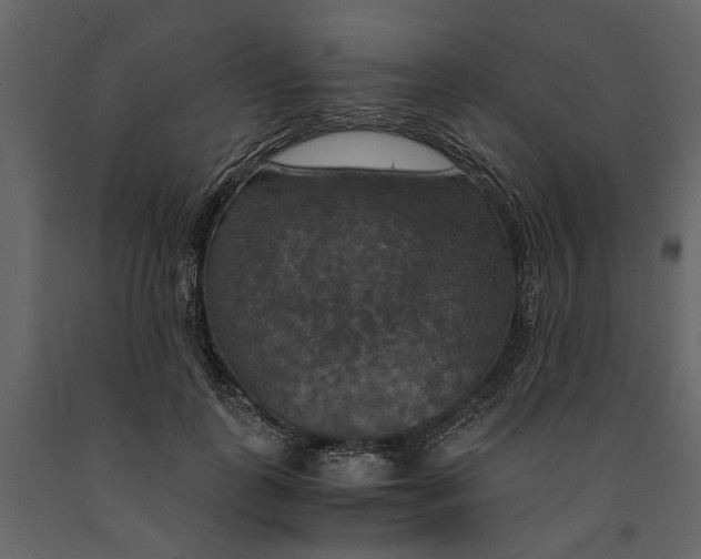 X0000091080747200708271236