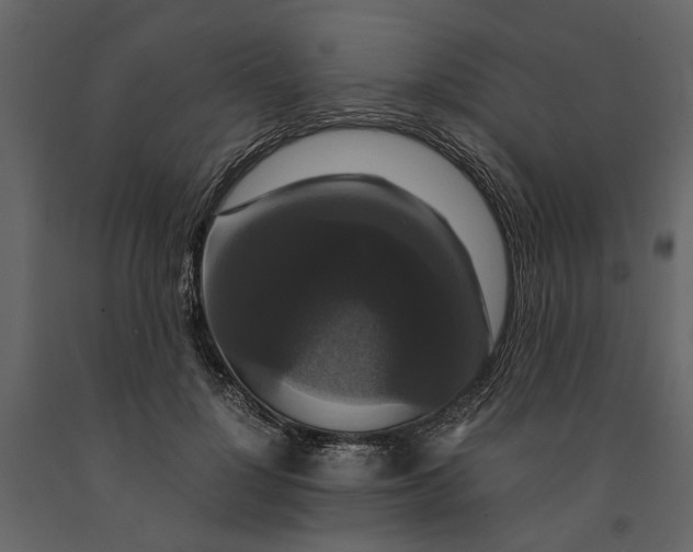 X0000091080748200708271236