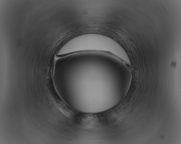 X0000091080750200708271236