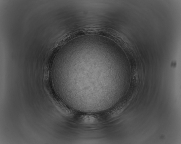 X0000091080751200708271236