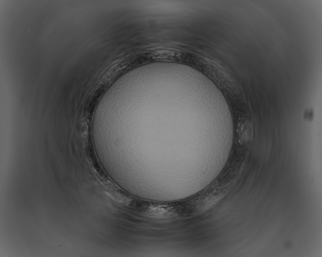 X0000091080753200708271236