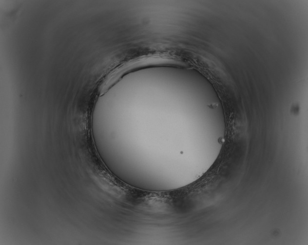 X0000091080756200708271236