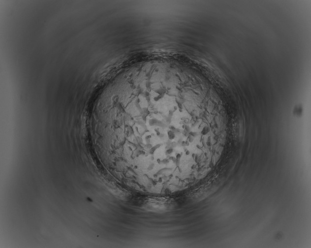 X0000091080757200708271236